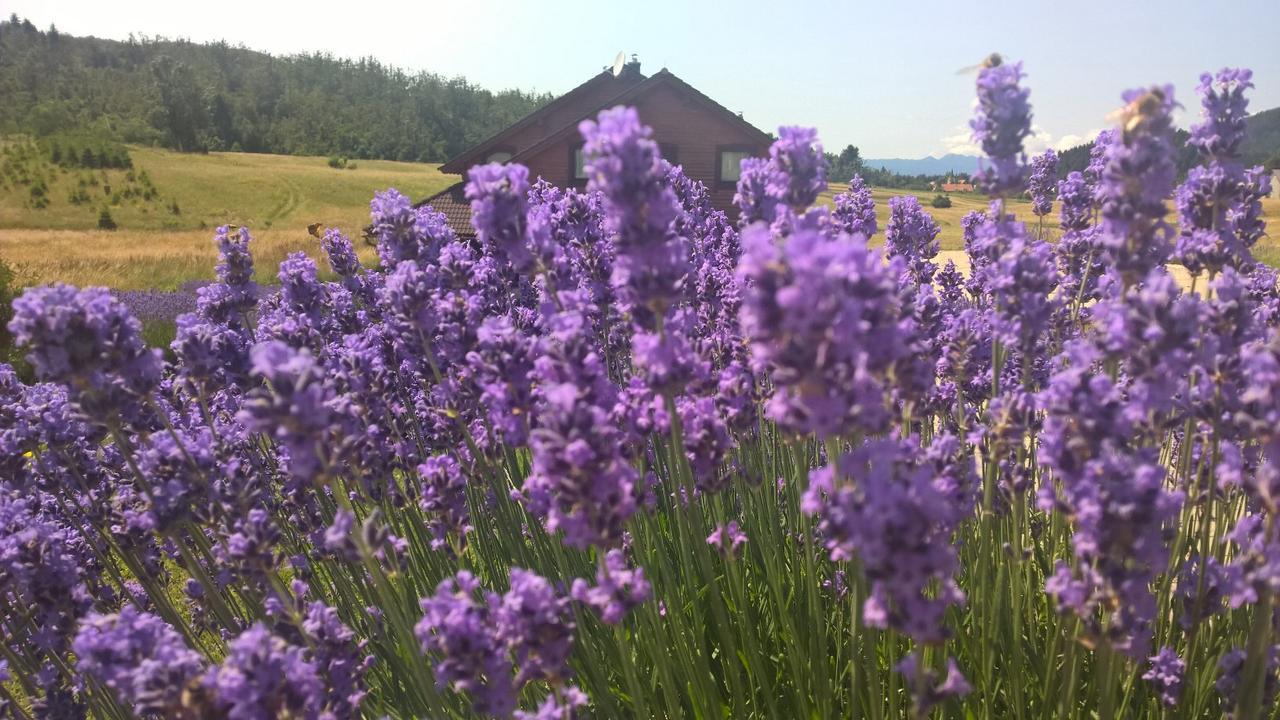 Boutique B&B Japodi Mrkopalj Exterior photo